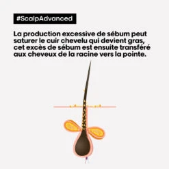 Shampooing Dermo-purifiant Anti Gras Scalp Advanced L'Oréal 1500ml -Produits de Coiffure Boutique 3474637106416 4 47452.1684847766