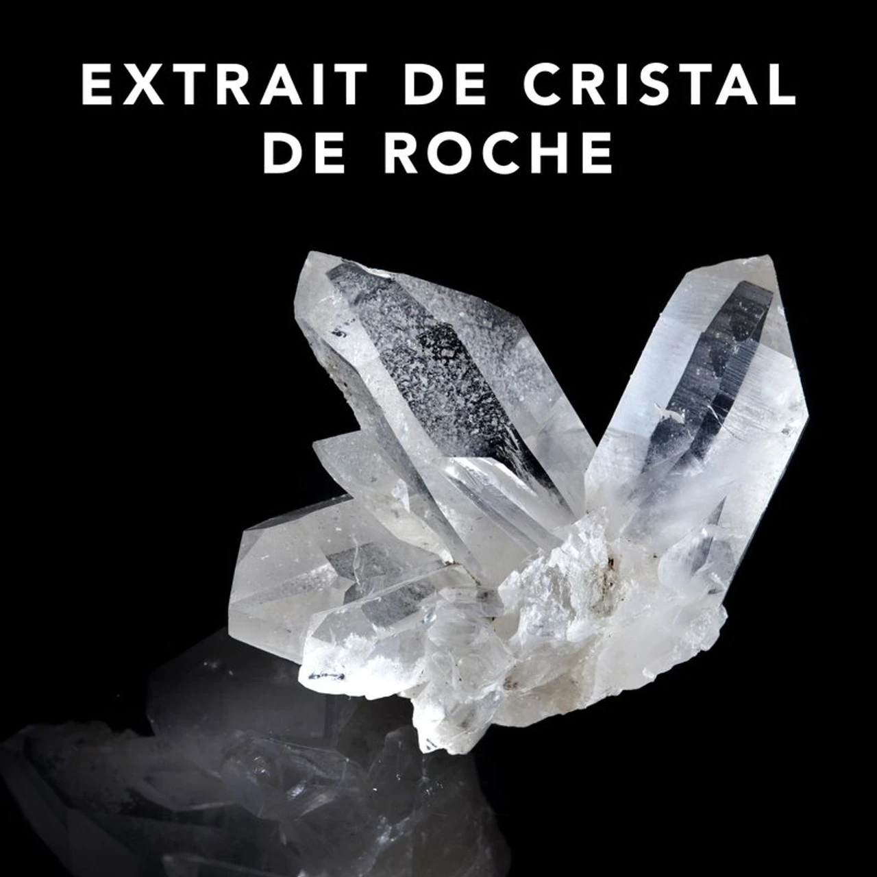 Trilliant Sebastian 150ml 3 Trilliant Sebastian 150ml – Image 3