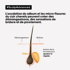 Shampooing Anti-Inconfort Scalp Advanced L'Oréal 1500ml -Produits de Coiffure Boutique scalp adavanced antiinconfort 17500.1684847770